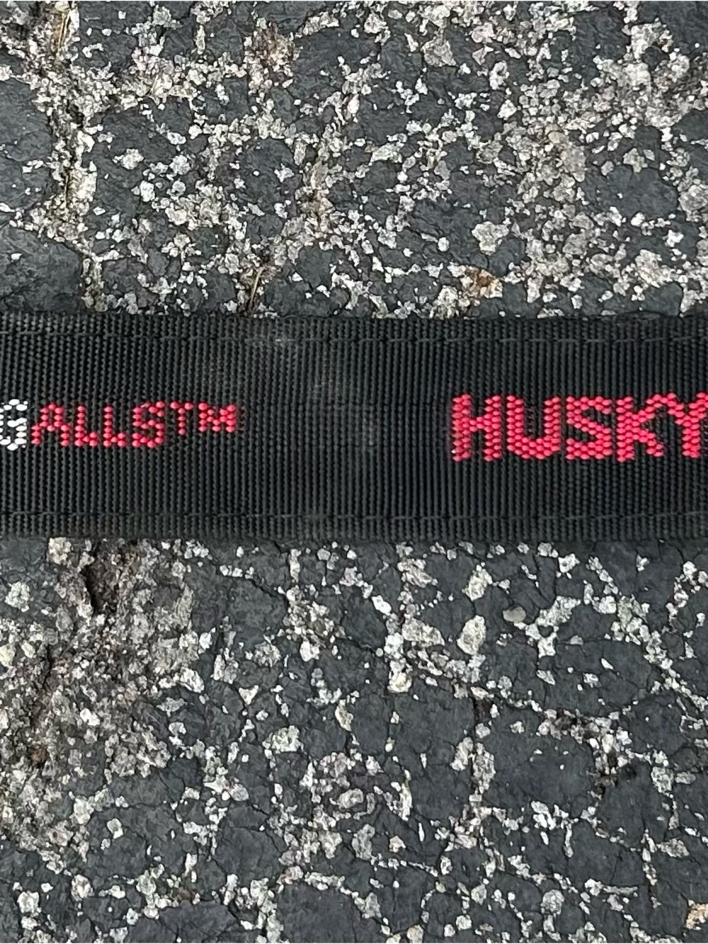 Black Nylon Dog Leash with Red Accent